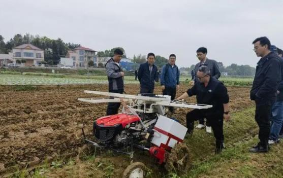 今日公布！云霄香烟网上批发商城官网“多福多寿”