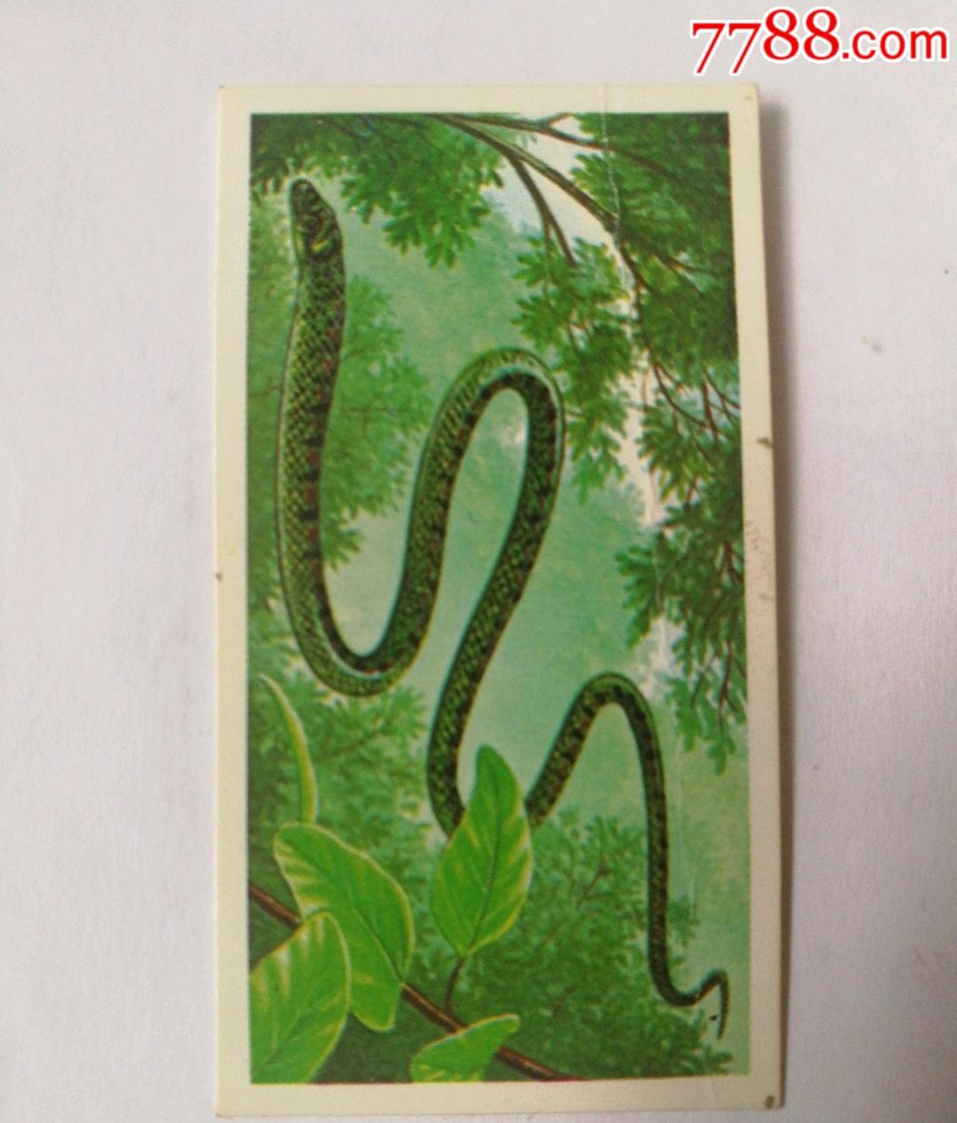 香烟_香烟芙蓉王香烟_一支香烟还是一根香烟