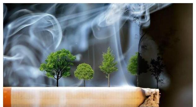 香烟_香烟特美思香烟硬_香烟英文