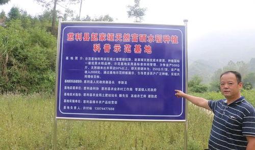 快讯！福建云霄烟草种植基地“择善而从” - 1 - AH香烟货源网